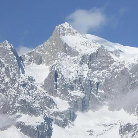 Family In Aletsch Alps *