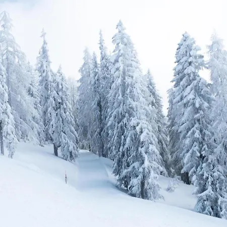 Family In Aletsch Alps דירה *