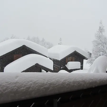 Family In Aletsch Alps בלוולד