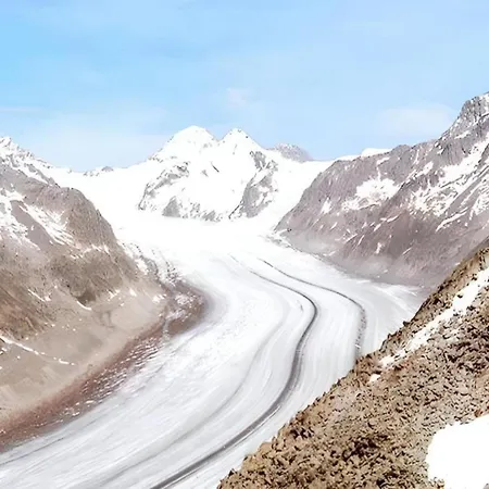 Family In Aletsch Alps 아파트 *