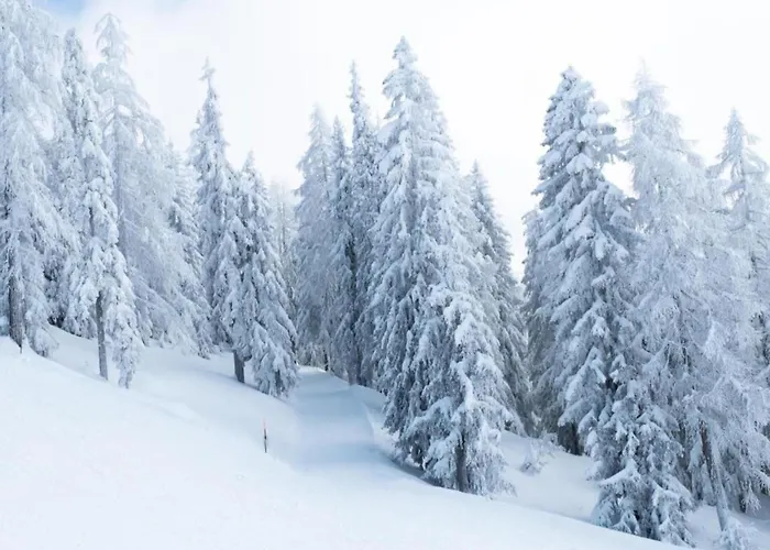 Family In Aletsch Alps Lejlighed *