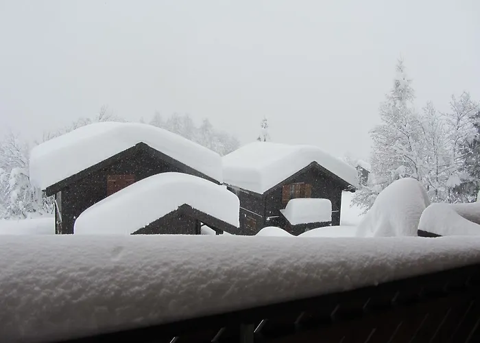 Family In Aletsch Alps Bellwald
