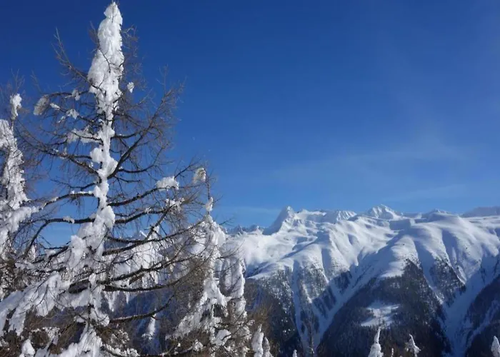 Lejlighed Family In Aletsch Alps
