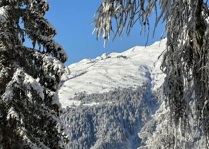 Family In Aletsch Alps Lejlighed Bellwald