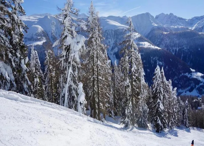 Family In Aletsch Alps *