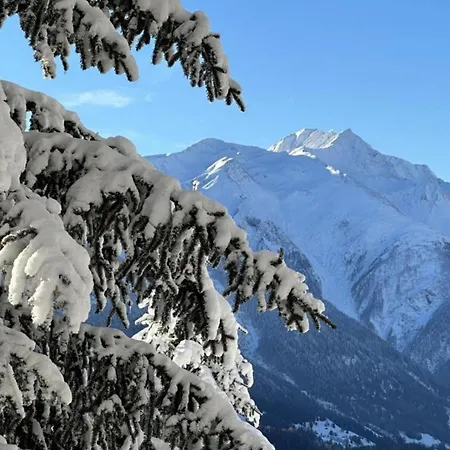 شقة Family In Aletsch Alps
